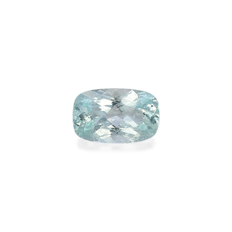 帕拉伊巴电气石 taille 靠垫 绿色 1.42 carats