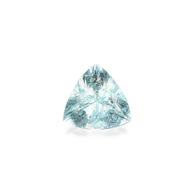 帕拉伊巴电气石 taille Trilliant 绿色 2.74 carats