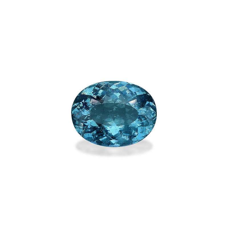 海蓝宝 taille 椭圆形 蓝色 24.63 carats