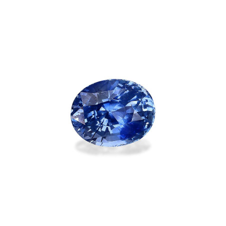 Blauer Saphir lengte OVAL Blau 1.74 karaten