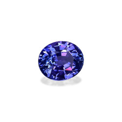 Ovale blauwe Tanzaniet van 7.04 karaat