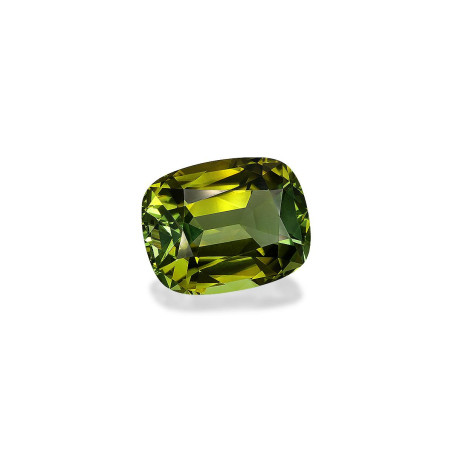 CUSHION-cut Cuprian Tourmaline Olive Green 41.95 carats