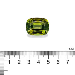 Olijfgroene Kussen Geslepen Koper Toermalijn 41.95 karaat