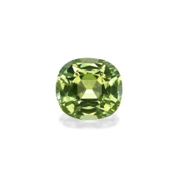 铜电气石 taille 靠垫 青柠绿 6.19 carats