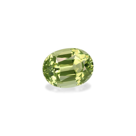 Tourmaline Cuivre taille OVALE Vert Pâle 4.09 carats