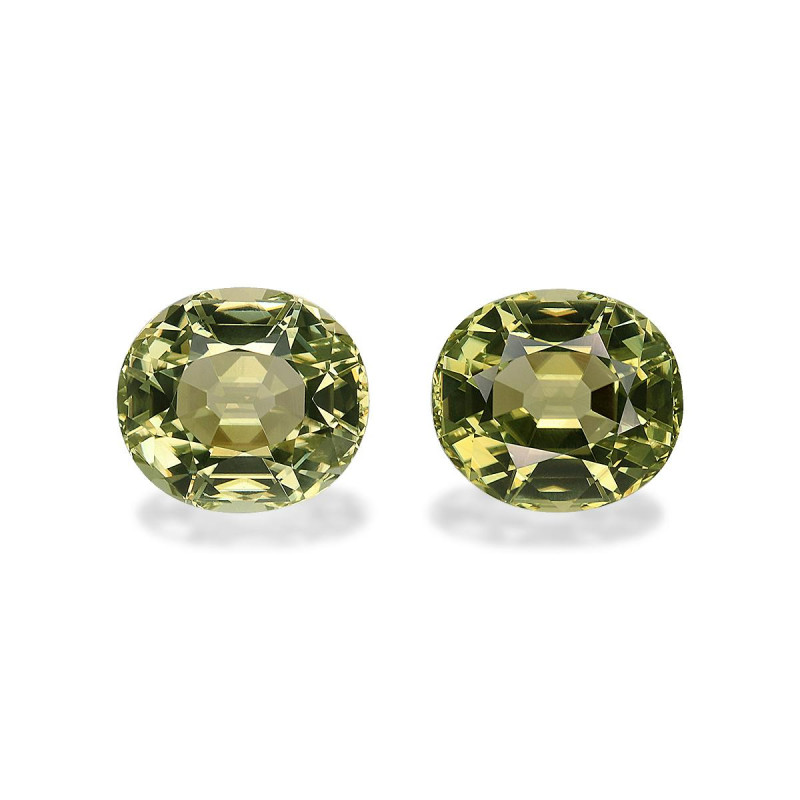 铜电气石 taille 椭圆形 淡绿色 12.64 carats