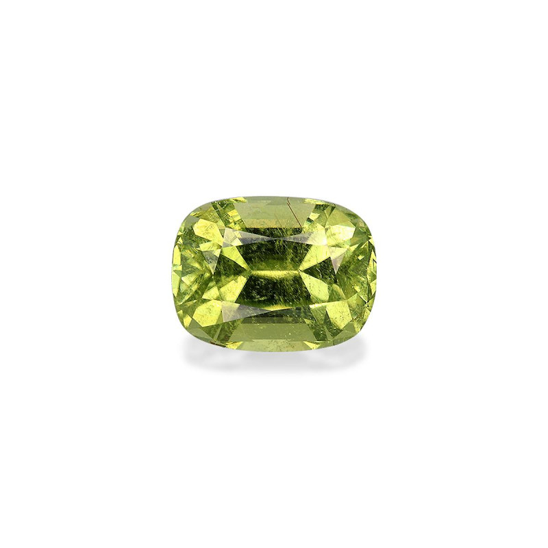 铜电气石 taille 靠垫 青柠绿 6.59 carats