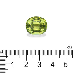 Ovale geslepen Lime Green Koper Toermalijn van 13,63 karaat