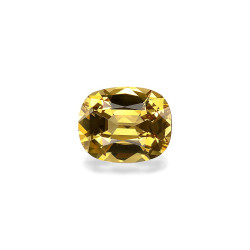 CUSHION-cut Grossular...