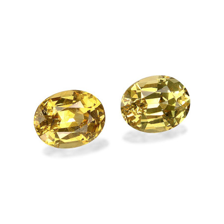 石榴石 taille 椭圆形 黄色 4.86 carats