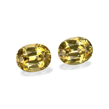 石榴石 taille 椭圆形 黄色 6.68 carats