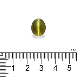 Kattenoog (chrysoberyl) OVALE GROEN 12.37 karaat
