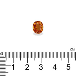 spessartite الحجم بيضاوي البرتقالي 3.21 