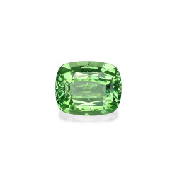 铬电气石 taille 靠垫 绿色 1.70 carats