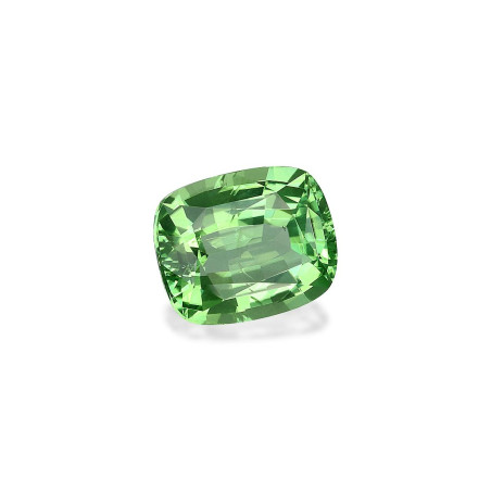 铬电气石 taille 靠垫 绿色 1.70 carats