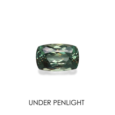 变石蓝晶石 taille 靠垫 绿色 2.50 carats