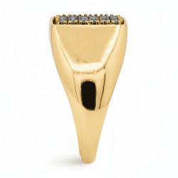 Bague Diamants Naturels Noirs Isadora Princesse en Or 18K