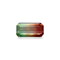 mixed colour tourmaline taille RECTANGULARE  71.02 carats