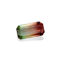 mixed colour tourmaline lengte RECHTECKIG  71.02 karaten