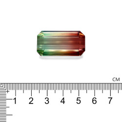 mixed colour tourmaline lengte RECHTECKIG  71.02 karaten