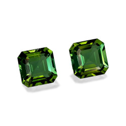 Turmalina Verde taille CARRÉ Forest Green 3.28 carats