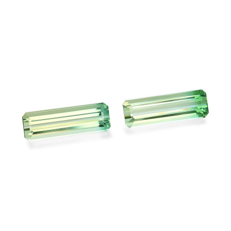 bi colour tourmaline الحجم مستطيلي 23.50 