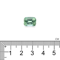 CUSHION-cut Green Tourmaline Cotton Green 3.97 carats