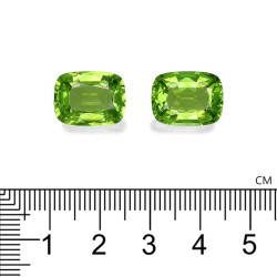 Péridot taille COUSSIN Lime Green 17.57 carats