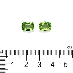Peridoto taille COUSSIN Vert Pistache 4.59 carats
