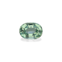 Turmalina Verde taille OVALE  20.23 carats