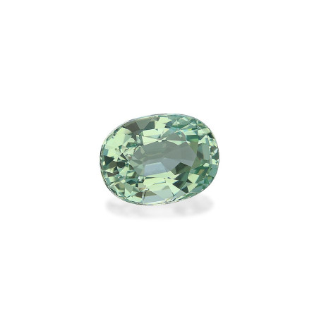 Tourmaline Verte taille OVALE  20.23 carats