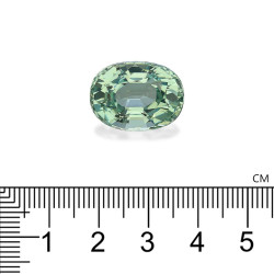 Tourmaline Verte taille OVALE  20.23 carats