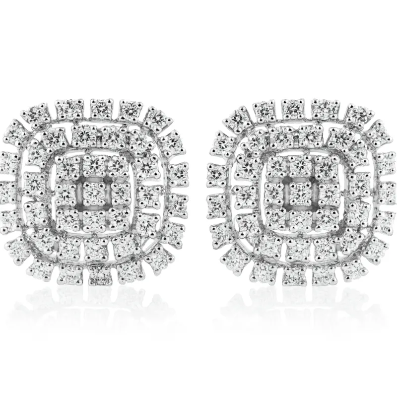 Puces d'Oreilles Roxane