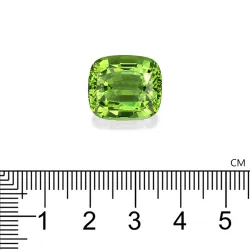 Tourmaline Verte taille COUSSIN Lime Green 16.23 carats