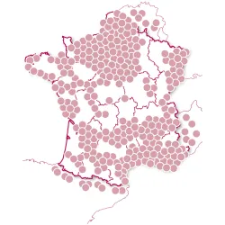 Coffret Cadeau Dîner d'exception