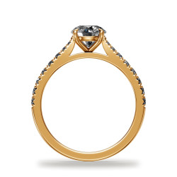 Verlovingsring ronde diamant Aria zes klauwen pavé | Celinni