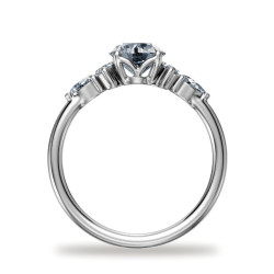 Round Diamond Engagement Ring Constellation | Celinni