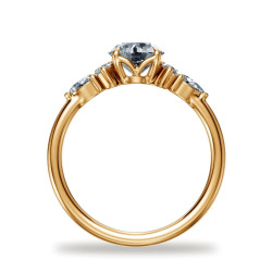 Round Diamond Engagement Ring Constellation | Celinni