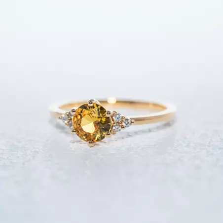 Ariana Ring