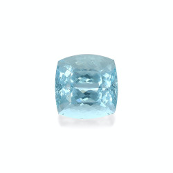 海蓝宝 taille 靠垫 蓝天 13.04 carats
