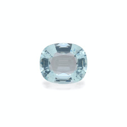 海蓝宝 taille 靠垫 蓝天 25.42 carats