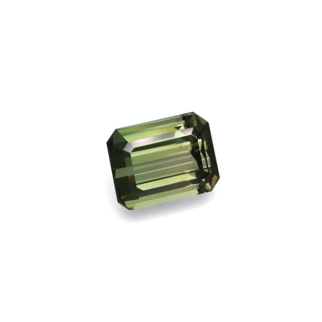 Turmalina Verde taille RECTANGULARE Forest Green 20.13 carats