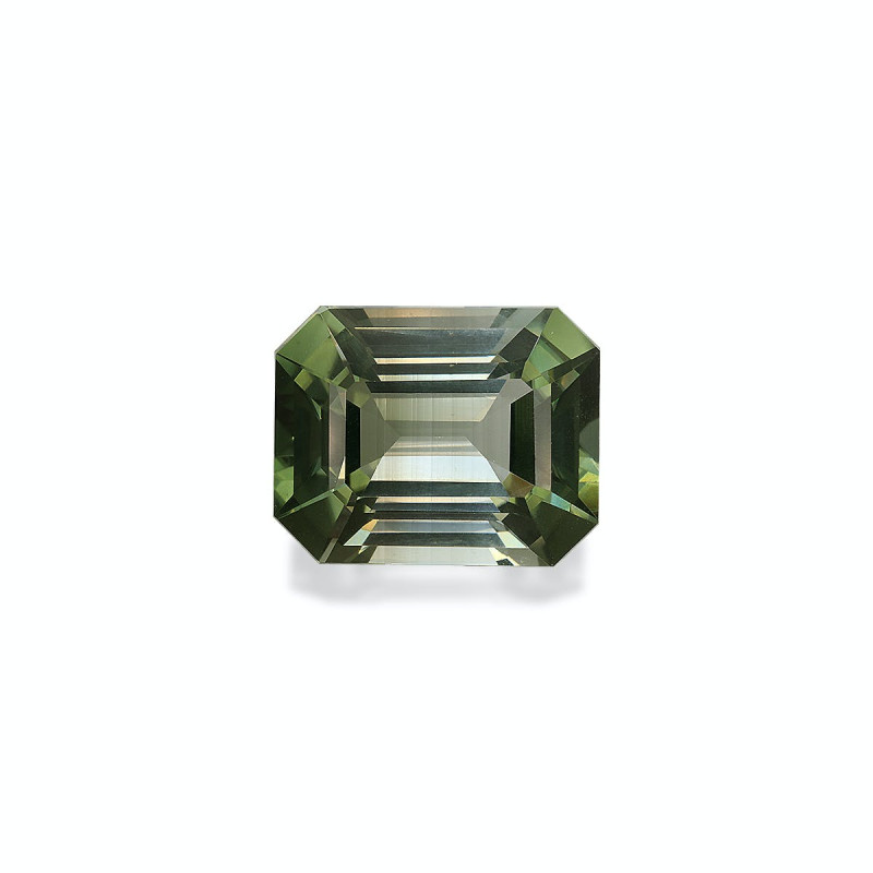 RECTANGULAR-cut Green Tourmaline Green 18.78 carats