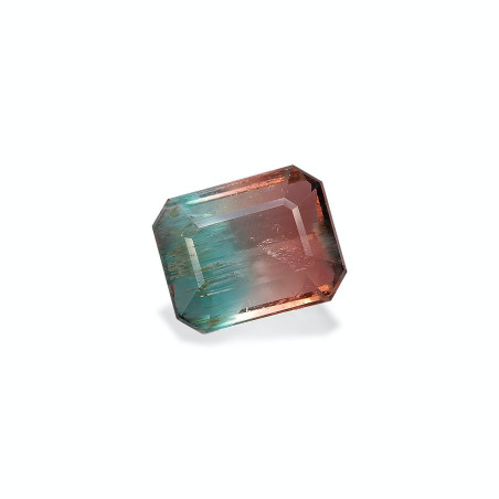 bi colour tourmaline taille RECTANGULARE  18.82 carats
