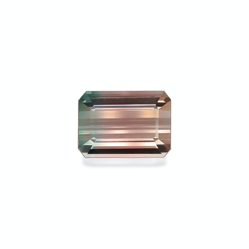 bi colour tourmaline lengte RECHTECKIG  19.27 karaten