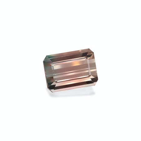 bi colour tourmaline taille RECTANGULARE  19.27 carats