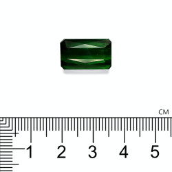 Rechthoekig geslepen Chrome Toermalijn Basil Green 12.15 karaat