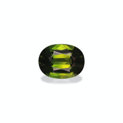 OVAL-cut Chrome Tourmaline...