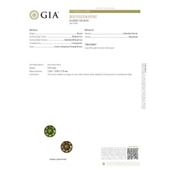 Ronde Démantoide Granaat Forest Green 9.27 karaat