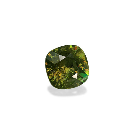 Granate Demantoide taille COUSSIN Forest Green 8.19 carats